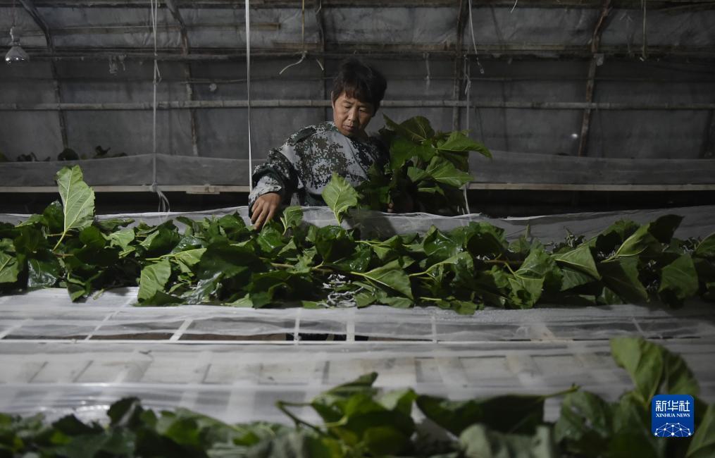 皇冠游戏大平台